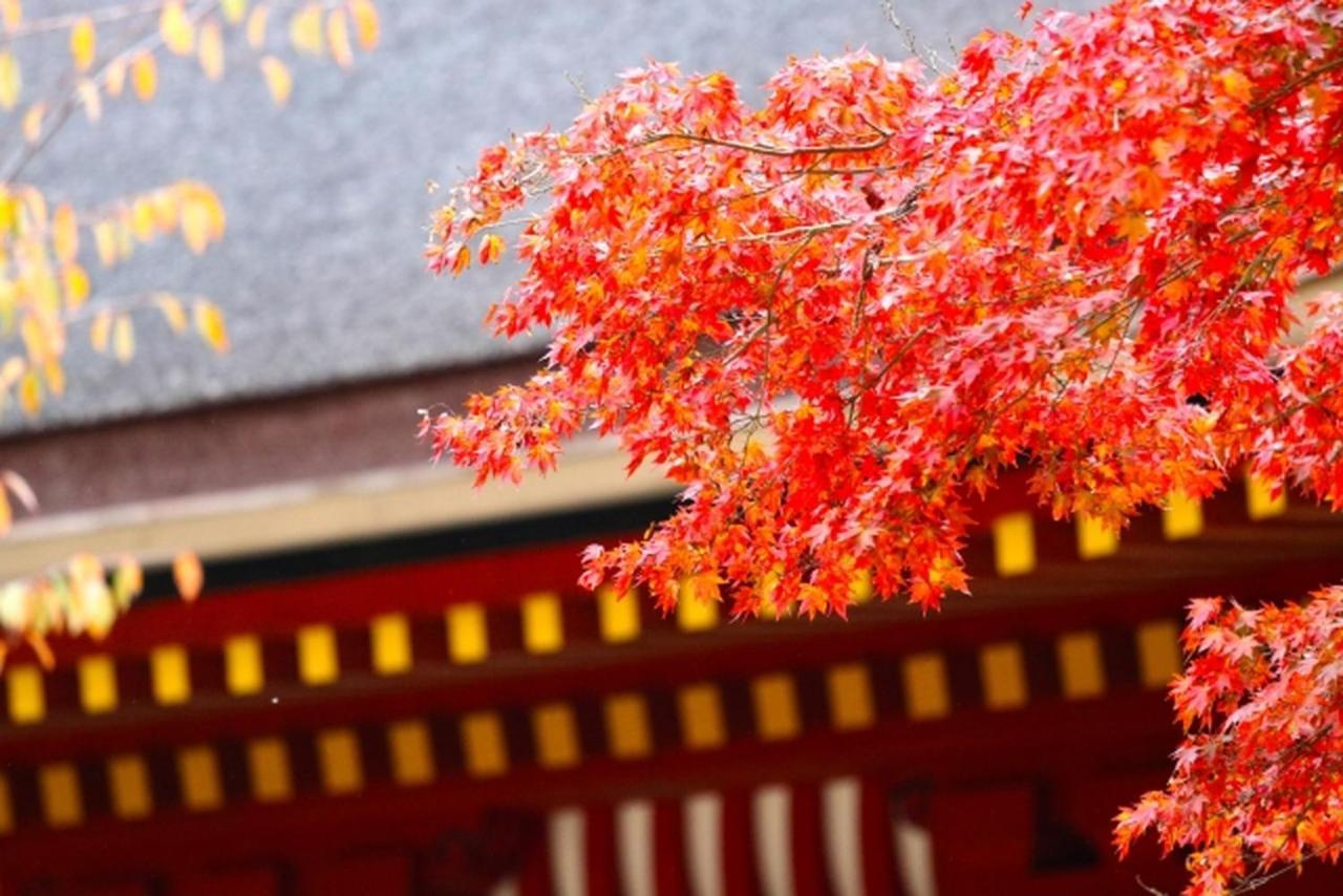 Stay Sakura Kyoto Kiyomizu Ougi Екстериор снимка